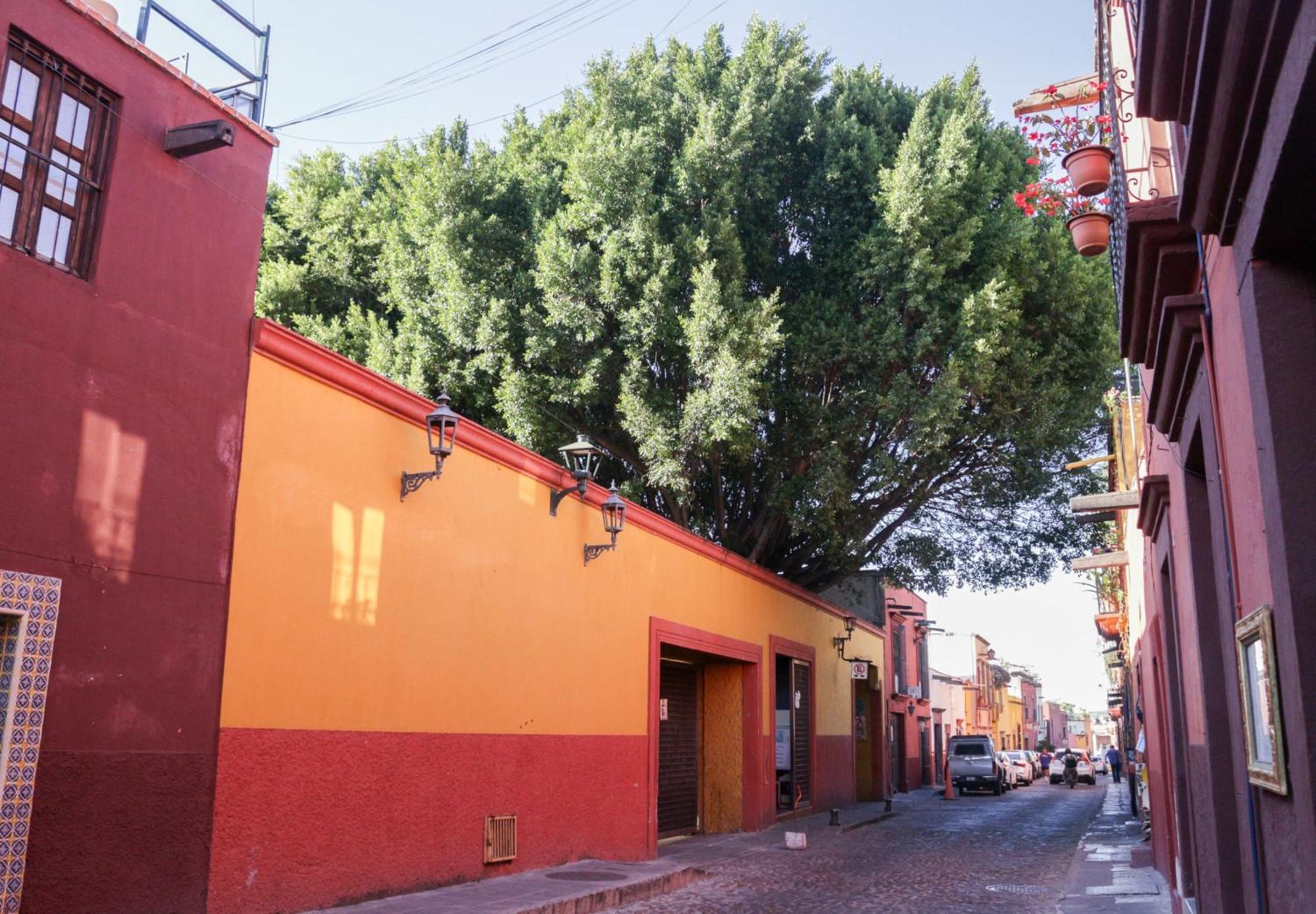 מלון סאן מיגל דה אלנדה Casa Relox 43 מראה חיצוני תמונה